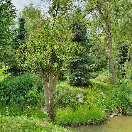 Kamilla Kulcsoshaz Villa Sub Cetate Ngoại thất bức ảnh